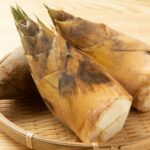 Usoi (Bamboo Shoots)- 1pc