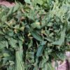 Sougri (Roselle)- 1 bunch
