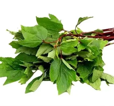 Sougri (Roselle)