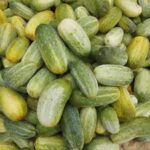 Kalen thabi Cucumber – 500 gm