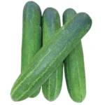 Thabi Cucumber – 500 gm