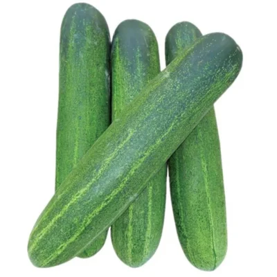 Thabi Cucumber - 1kg