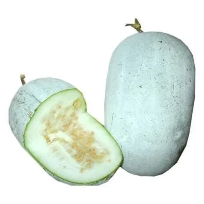 Torbot ( Ash Gourd) - (2.5 - 3.5 kg)
