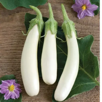 White Brinjal - 500g