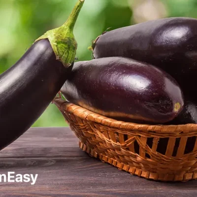 Brinjal - 1kg (Copy)