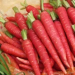 Red Carrot – 500g