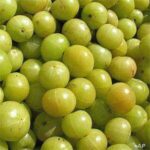Heikru ( Indian Gooseberry)