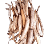 Thambou ( Lotus Stem)- 500g