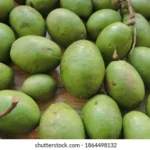 Chorphon (Jalpai Fruit)-
