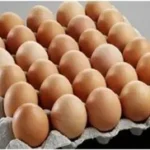 Yumsha Egg (Red)- 1 plate