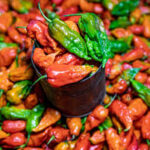 U Morok (Ghost Pepper) – 12pc