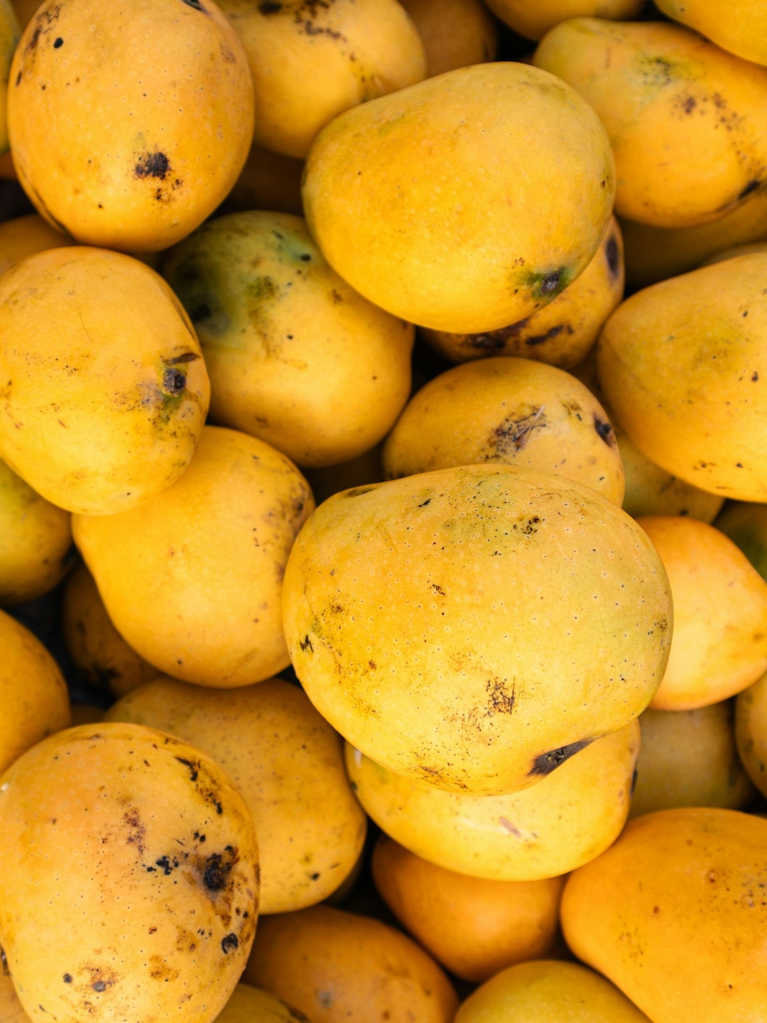 mango-season-150657724-3x4