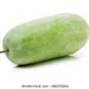 Torbot Anouba- (3.5kg-4kg)