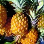 Pineapple – 1pc