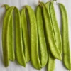 Debi ( or Tebi) – 1 bunch