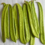 Debi ( or Tebi) – 1 bunch
