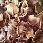 Dry Uyen (Shiitake mushroom)