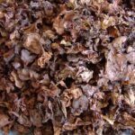 Dry Uchina (Wood Ear mushroom)