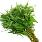 Phakpai (Vietnamese coriander)-1 bunch