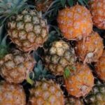 Pineapple (Small Size)- 3pc
