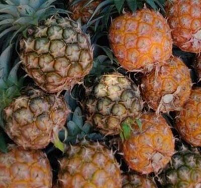 Pineapple (Small Size)- 3pc