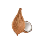Fresh Coconut (Yubi)- 1pc